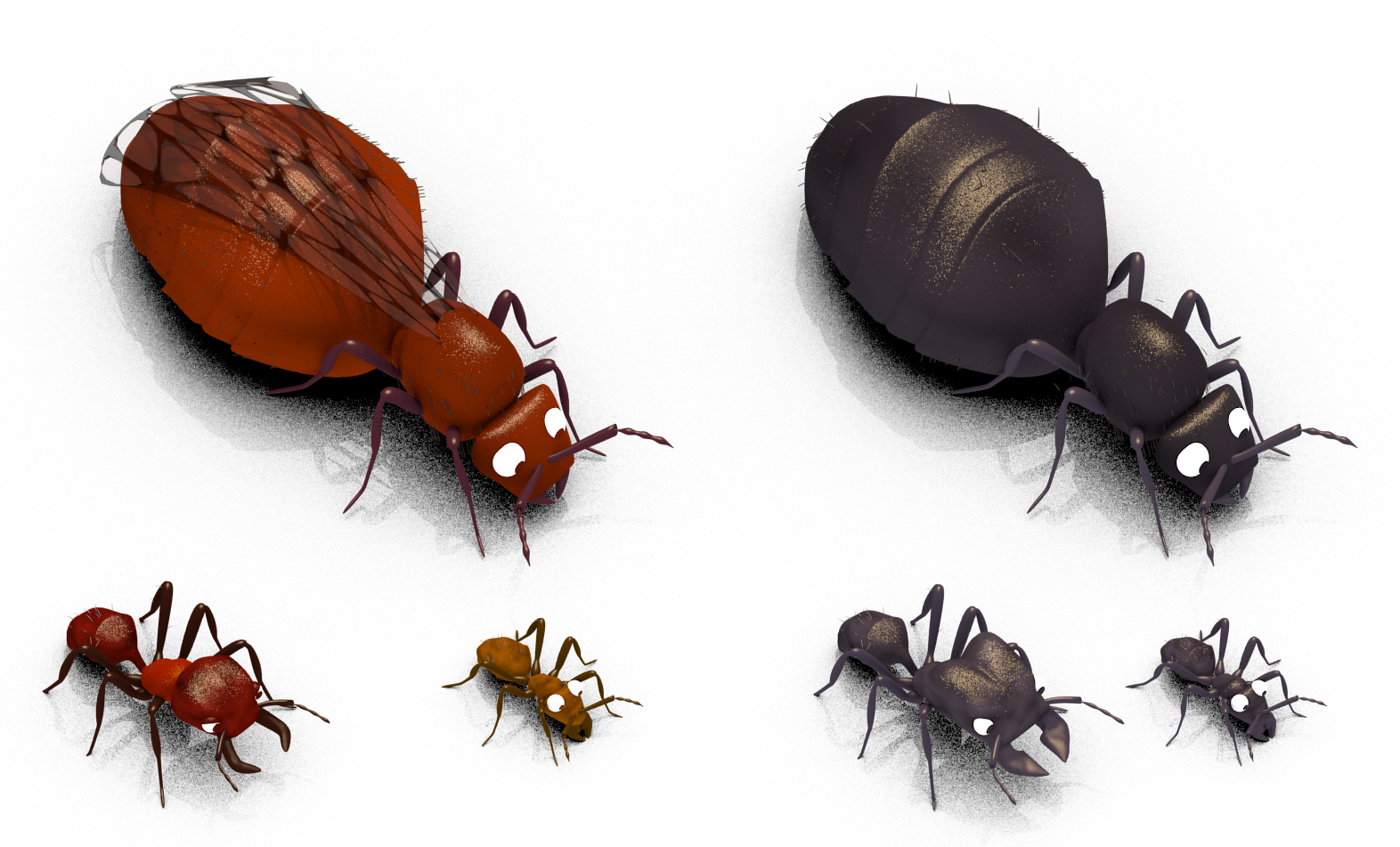 ants4